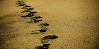 PUNËT E PARA NË MEDINË (HUTBE)