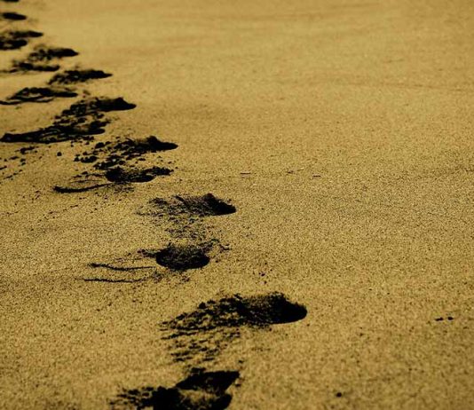 PUNËT E PARA NË MEDINË (HUTBE)