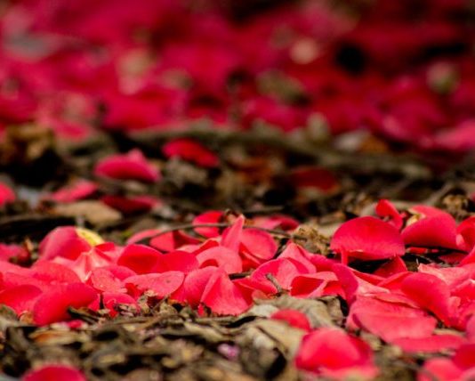 ÇUDI ME ATË BURRË, I CILI KËRKON DHE NUK JEP!!