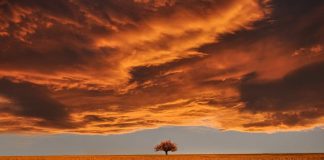 Dita e Kiametit (HUTBE)