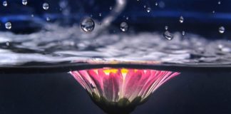 GRUAJA IME, TI JE DHURATA MË E BUKUR E ALLAHUT PËR MUA!!