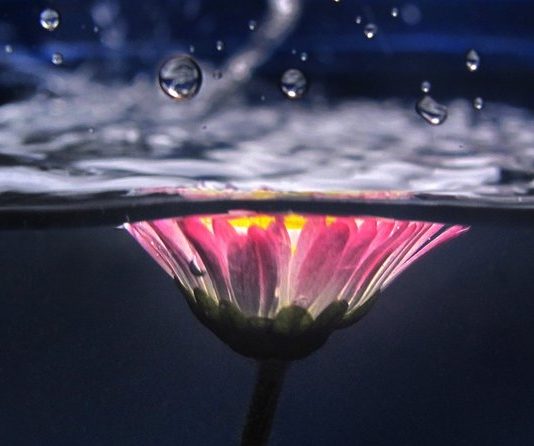 GRUAJA IME, TI JE DHURATA MË E BUKUR E ALLAHUT PËR MUA!!