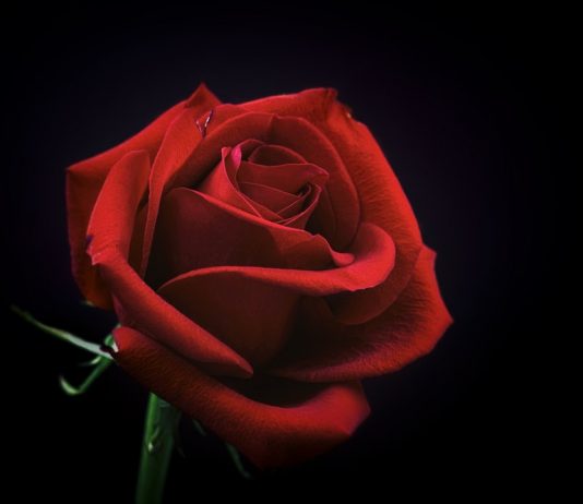 MOS I SHKATËRRONI GRATË E JUAJA!!