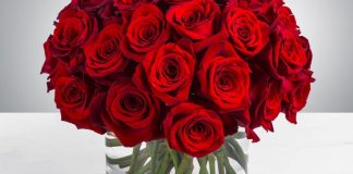 MOTËR MARTOHU ME KËTË DJALË!!