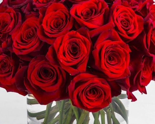 MOTËR MARTOHU ME KËTË DJALË!!