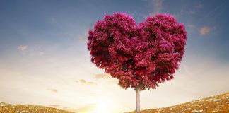 JETA JOTE BASHKËSHORTORE ËSHTË E SHTRENJTË, MOS E SHKATËRRO!!