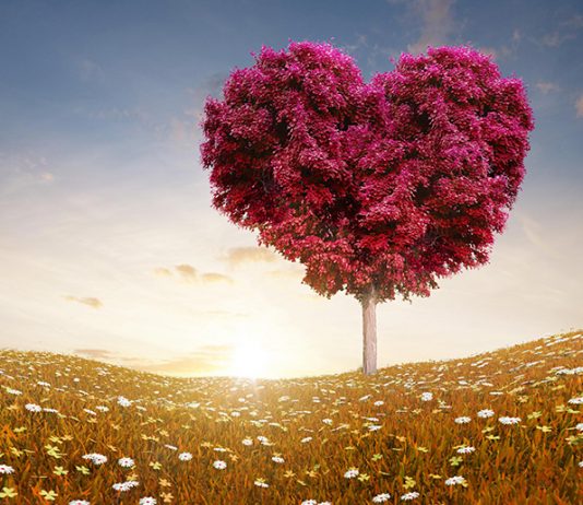 JETA JOTE BASHKËSHORTORE ËSHTË E SHTRENJTË, MOS E SHKATËRRO!!