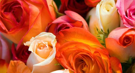 DISA NJOHURI RRETH GRUAS