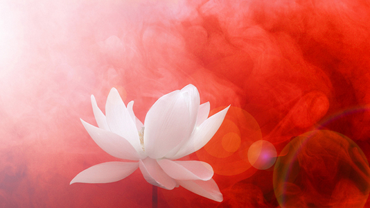 A DO TA DISH SE KUR NUK JE BASHKËSHORTE E MIRË!!