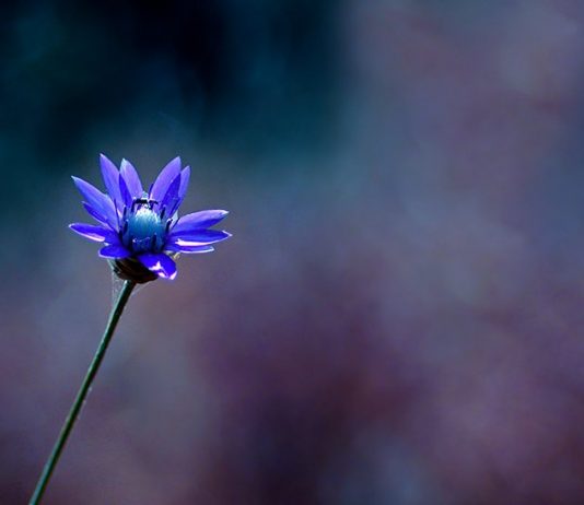 SJELLJA E MIRË E PËRFITON ZEMRËN E GRUAS!!