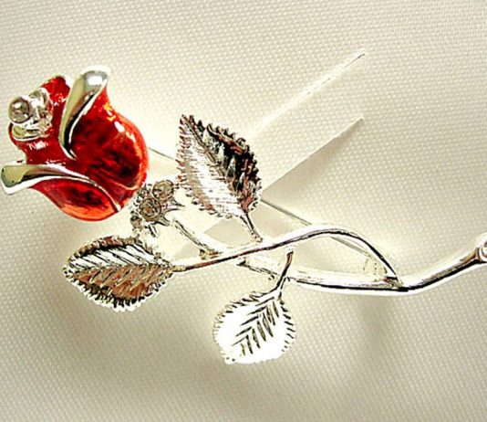 DISA FJALË PËSHPËRITËSE PËR BURRIN DHE GRUAN!