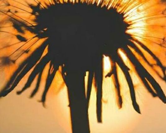 BURRI IM I DASHUR KUPTOJE MIRË GRUAN!