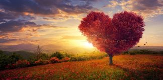 LLOJET E ZEMRAVE SIPAS KURANIT