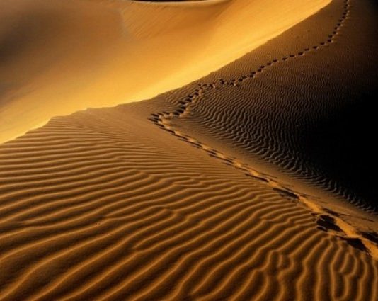 ASKUSH NUK PREZANTOI NË XHENAZEN E PRINDIT TË VET