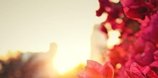 MORALI I AGJËRUESIT