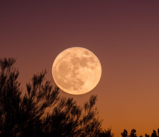 DHJETË NETËT E FUNDIT DHE NATA E KADRIT