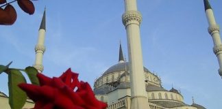 BAJRAMI – RREGULLA DHE DISPOZITA