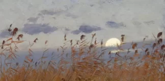 POROSI TË ARTA NË SHFRYTËZIMIN E PUSHIMEVE VERORE