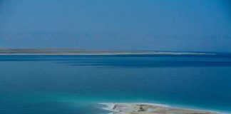 PSE KA “VDEKUR” DETI I VDEKUR?