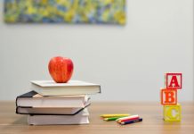 FILLIMI I VITIT SHKOLLOR – KËSHILLA DHE DOBI