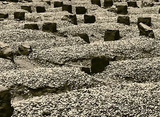 VDIQ PRANË VËLLAIT TË VET NË VARR