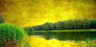 CILI ËSHTË SHKAKU I PIKËLLIMIT TËND?!