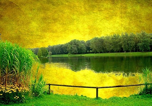 CILI ËSHTË SHKAKU I PIKËLLIMIT TËND?!