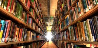 KËRKIMI I DIJES- RREGULLA DHE DOBI