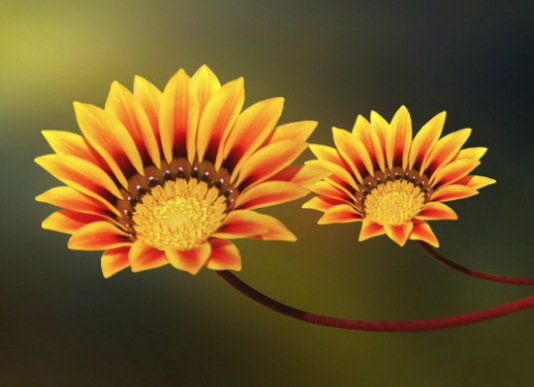 ZBUKURIMI I LEJUAR DHE AI I NDALUAR