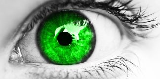 ZILIA DHE DËMI I SAJ