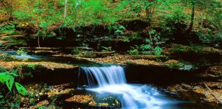 REALITETI I LUMTURISË DHE BURIMI I SAJ