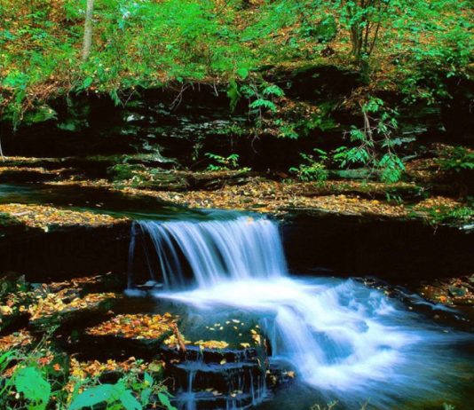 REALITETI I LUMTURISË DHE BURIMI I SAJ