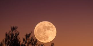 NGA MIRËSITË E NATËS SË KADRIT