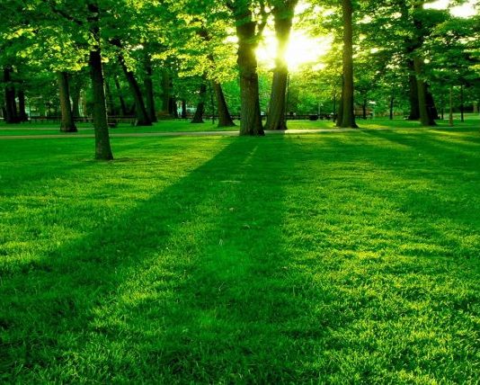 SHKAQET E ZBRITJES SË BEREQETIT