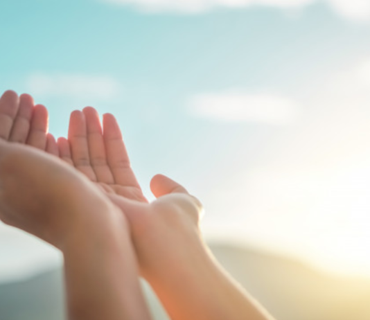 DUAJA DHE DOBITË E SAJ