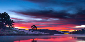 ADEMI (ALEJHI SELAM)