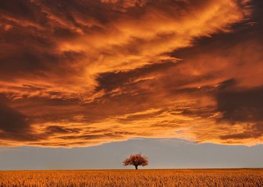 BESIMI NË SHENJAT E KIAMETIT