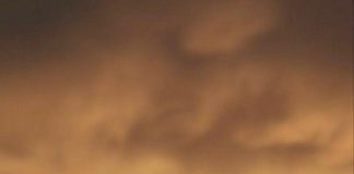 LUTJA E PRINDIT PËR FËMIJËN