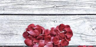 OBJEKTIVAT E MARTESËS NË ISLAM