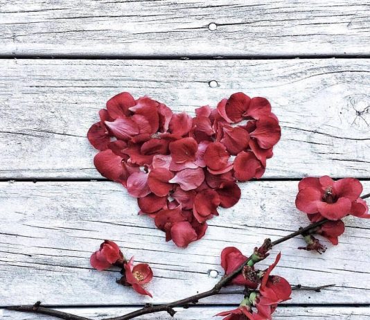 OBJEKTIVAT E MARTESËS NË ISLAM