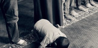 SEXHDJA E HARRESËS (SEVI SEXHDJA)