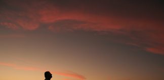 DUAJA DHE DOBITË E SAJ