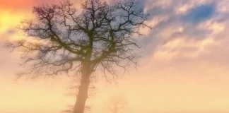 VESVESET E SHEJTANIT DHE MBROJTJA PREJ TIJ