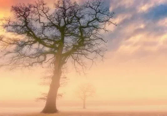 VESVESET E SHEJTANIT DHE MBROJTJA PREJ TIJ