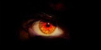 ZILIA DHE DËMI I SAJ