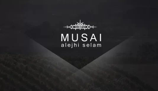 TREGIMI I MUSAIT ME HIDRIN