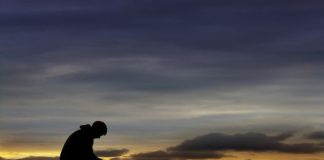 DEDIKUAR TË SPROVUARVE DHE TË PIKËLLUARVE