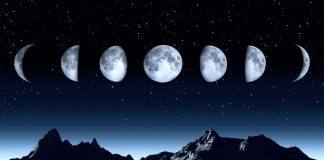 MUAJI REXHEB – DISPOZITA DHE DOBI