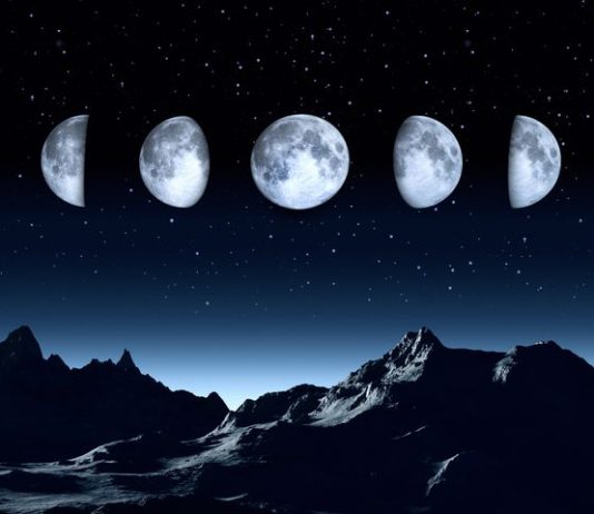 MUAJI REXHEB – DISPOZITA DHE DOBI