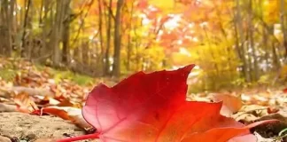 KUR PREMTON, NUK REALIZON!!